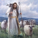 Good Shepherd